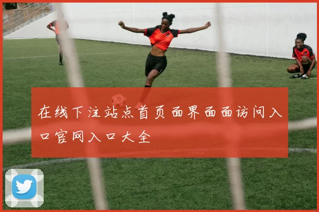 在线下注站点首页面界面面访问入口官网入口大全