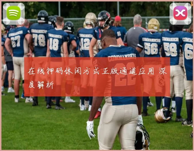 在线押码休闲方式正版通道应用 深度解析