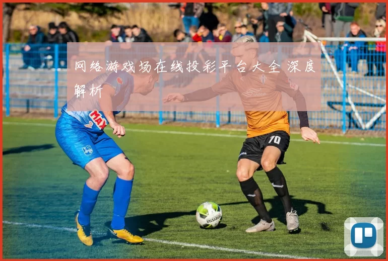 网络游戏场在线投彩平台大全 深度解析