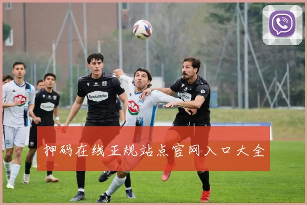 押码在线正规站点官网入口大全