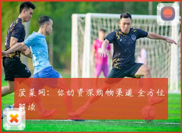 菠菜网：你的资深购物渠道 全方位解读