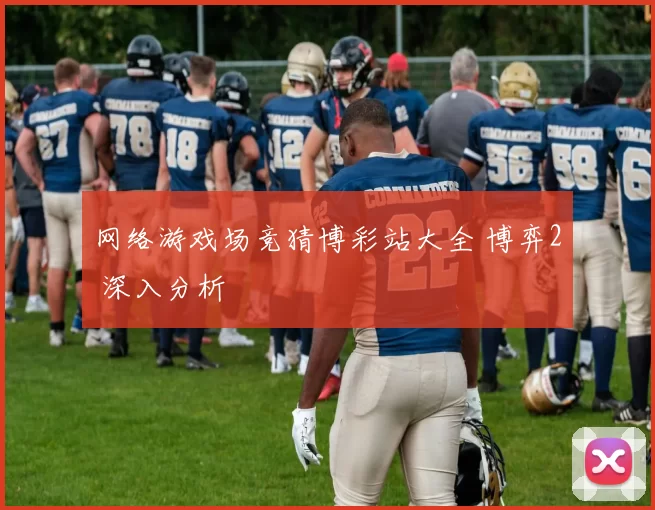 网络游戏场竞猜博彩站大全 博弈2 深入分析