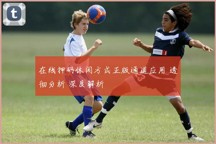 在线押码休闲方式正版通道应用 透彻分析 深度解析