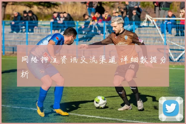 网络押注资讯交流渠道 详细数据分析