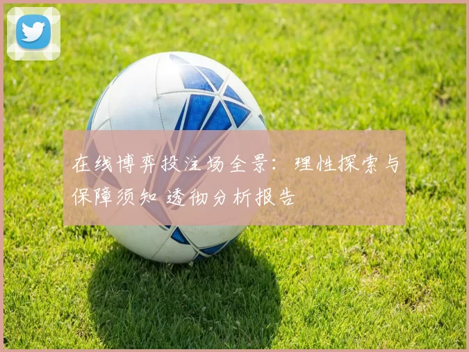 在线博弈投注场全景：理性探索与保障须知 透彻分析报告