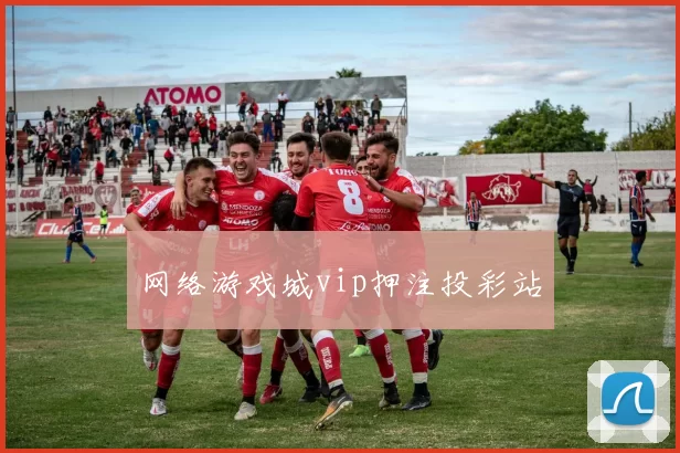 网络游戏城vip押注投彩站