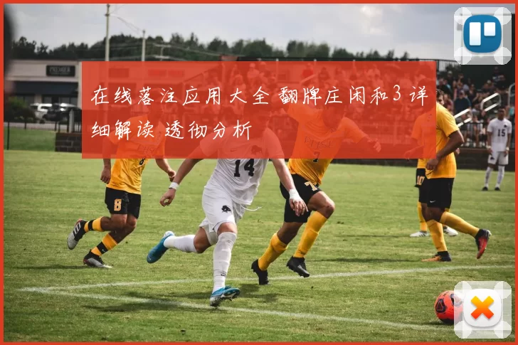 在线落注应用大全 翻牌庄闲和3 详细解读 透彻分析